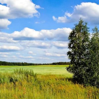 Land Loan